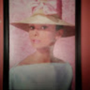 Meet your Posher, Darlene